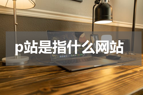 p站是指什么网站