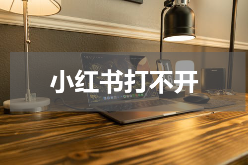 小红书打不开