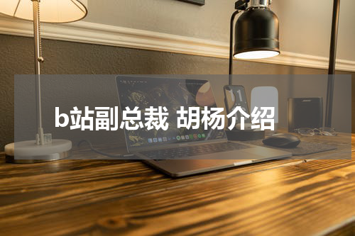 b站副总裁 胡杨介绍