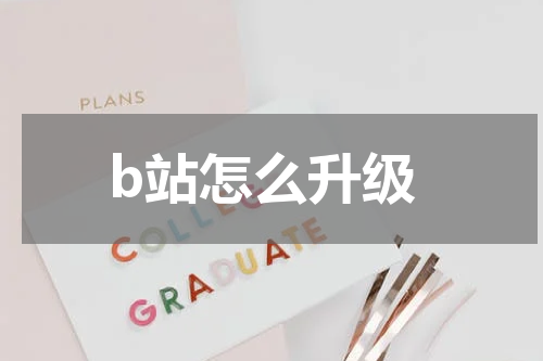 b站怎么升级