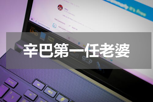 辛巴第一任老婆