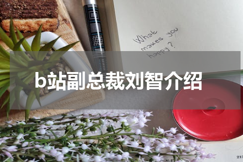 b站副总裁刘智介绍
