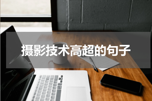 摄影技术高超的句子