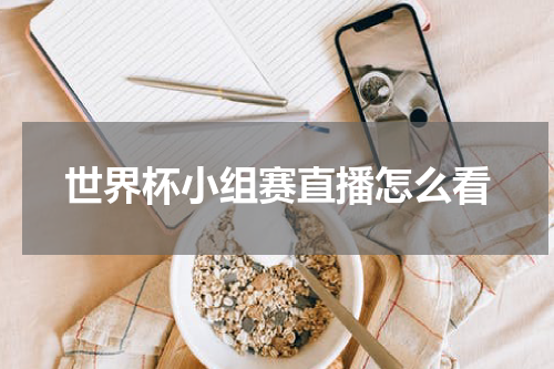 世界杯小组赛直播怎么看