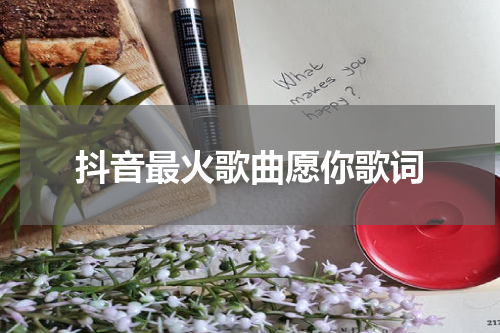 抖音最火歌曲愿你歌词