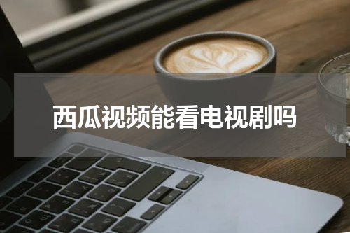 西瓜视频能看电视剧吗