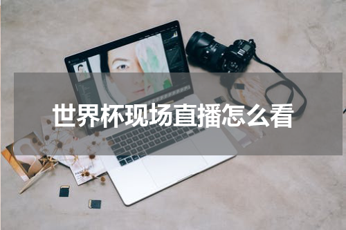 世界杯现场直播怎么看