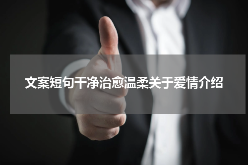 文案短句干净治愈温柔关于爱情介绍