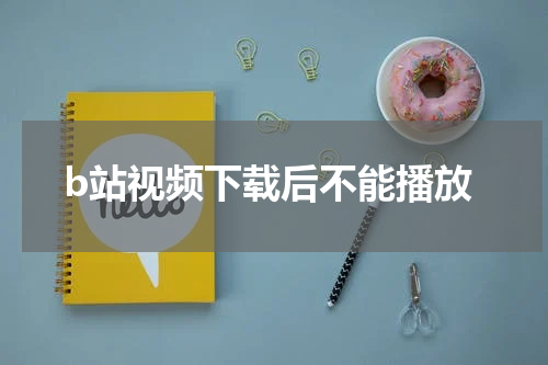 b站视频下载后不能播放