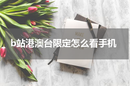b站港澳台限定怎么看手机