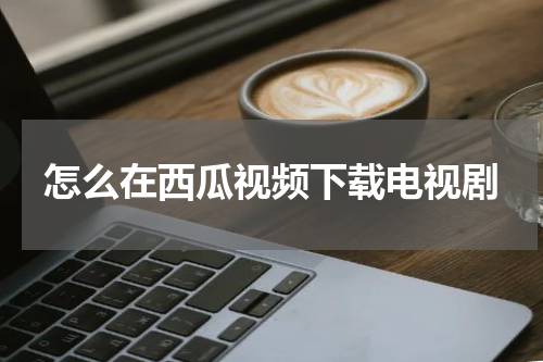 怎么在西瓜视频下载电视剧