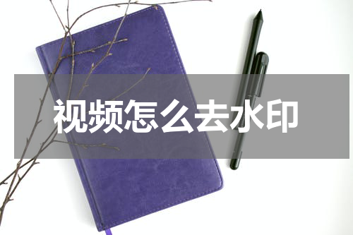 视频怎么去水印