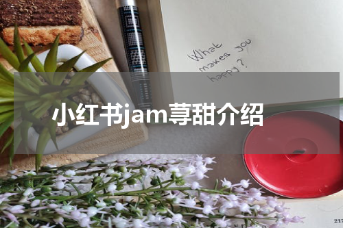 小红书jam荨甜介绍