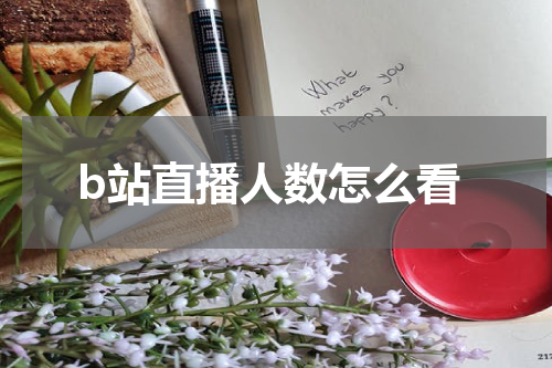 b站直播人数怎么看