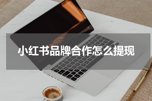 小红书品牌合作怎么提现