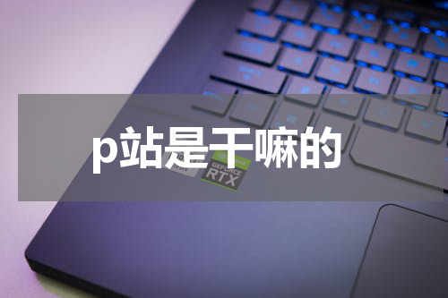 p站是干嘛的