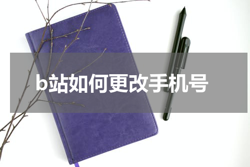 b站如何更改手机号