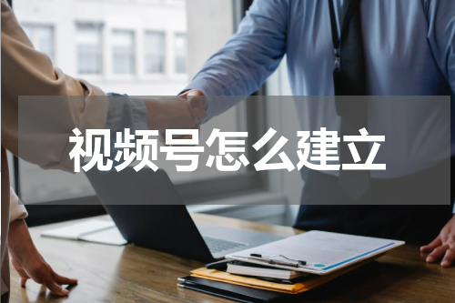 视频号怎么建立