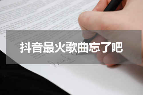 抖音最火歌曲忘了吧