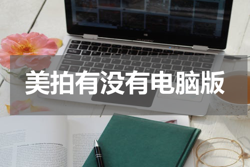美拍有没有电脑版