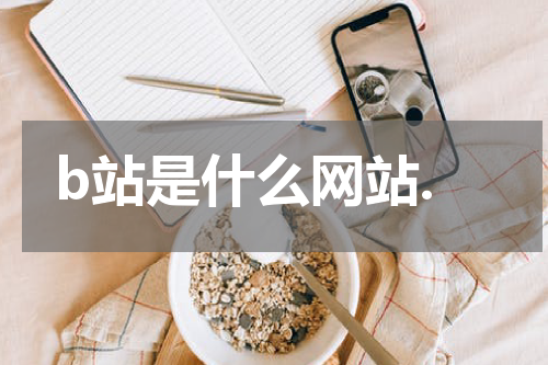 b站是什么网站.
