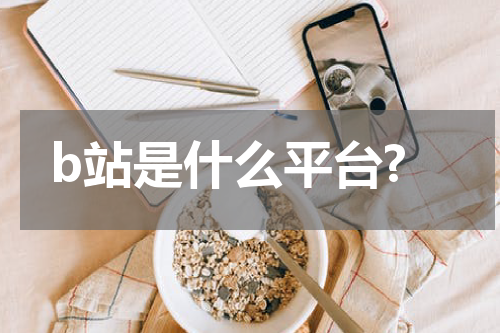 b站是什么平台?