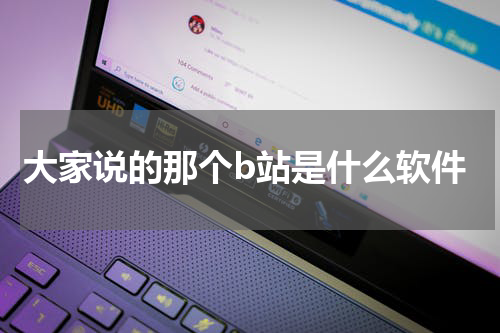 大家说的那个b站是什么软件