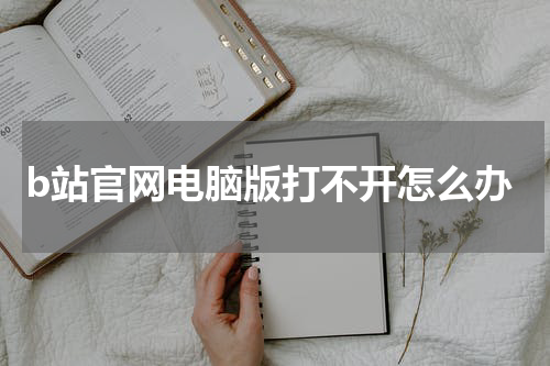 b站官网电脑版打不开怎么办