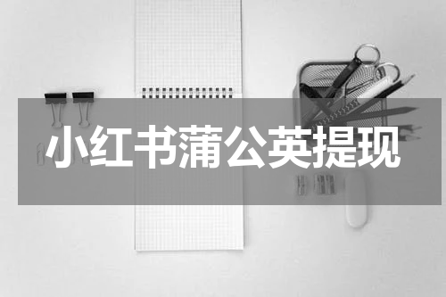 小红书蒲公英提现
