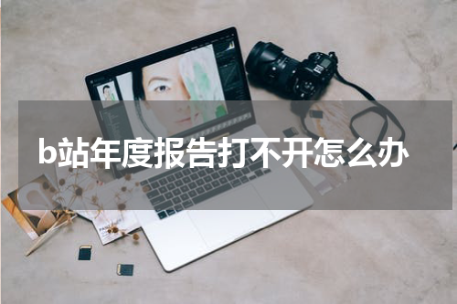 b站年度报告打不开怎么办