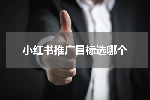 小红书推广目标选哪个