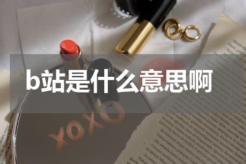 b站是什么意思啊