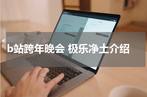 b站跨年晚会 极乐净土介绍