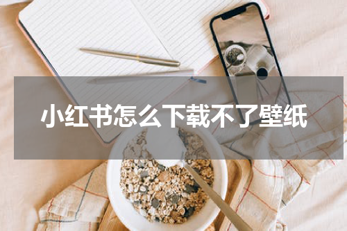 小红书怎么下载不了壁纸