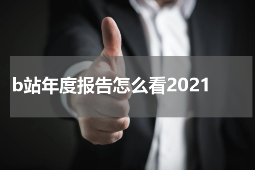 b站年度报告怎么看2021