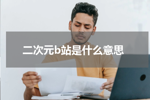 二次元b站是什么意思