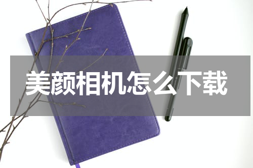 美颜相机怎么下载