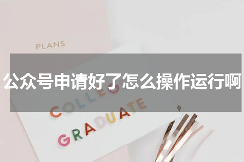 公众号申请好了怎么操作运行啊