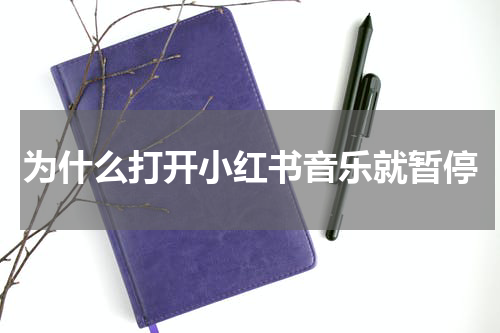 为什么打开小红书音乐就暂停