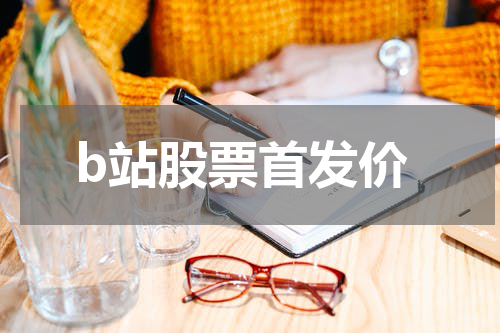 b站股票首发价