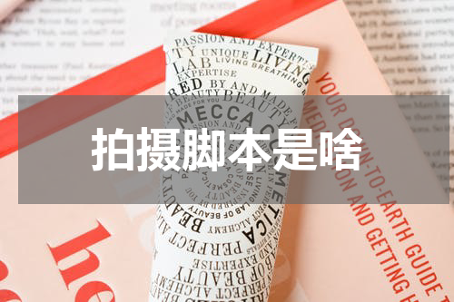 拍摄脚本是啥