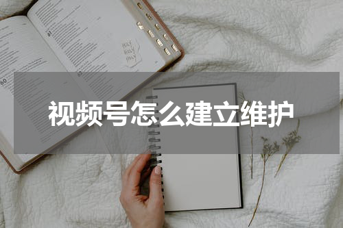 视频号怎么建立维护