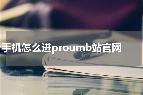 手机怎么进proumb站官网
