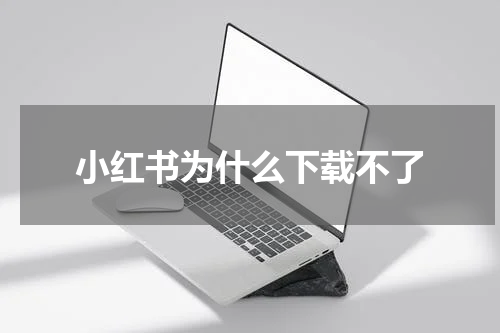 小红书为什么下载不了