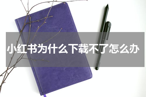小红书为什么下载不了怎么办
