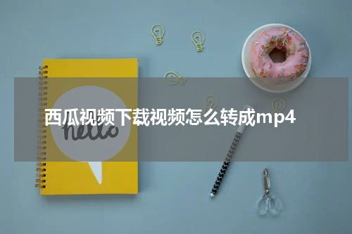 西瓜视频下载视频怎么转成mp4