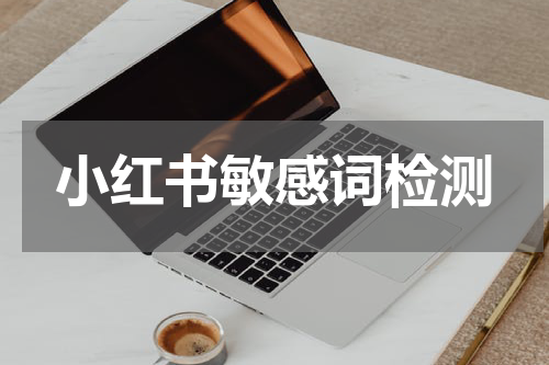 小红书敏感词检测