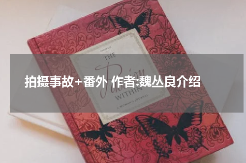 拍摄事故+番外 作者:魏丛良介绍