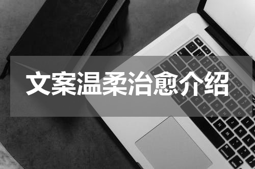 文案温柔治愈介绍