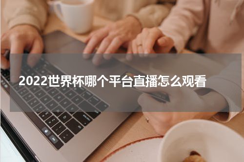 2022世界杯哪个平台直播怎么观看